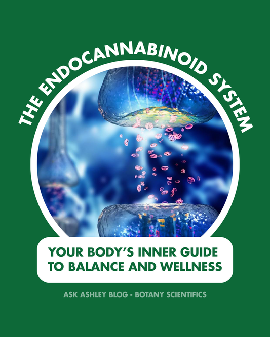 The Endocannabinoid System: Your Body’s Inner Guide to Balance and Wellness