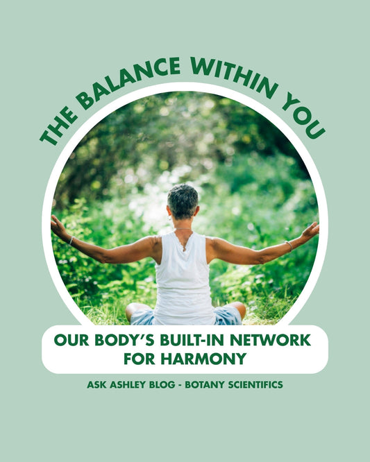 The Balance Within You