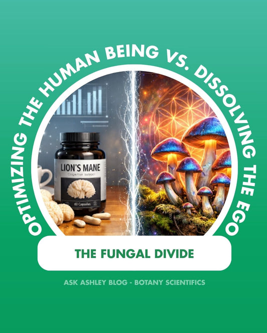 The Fungal Divide: Optimizing the Human Being vs. Dissolving the Ego