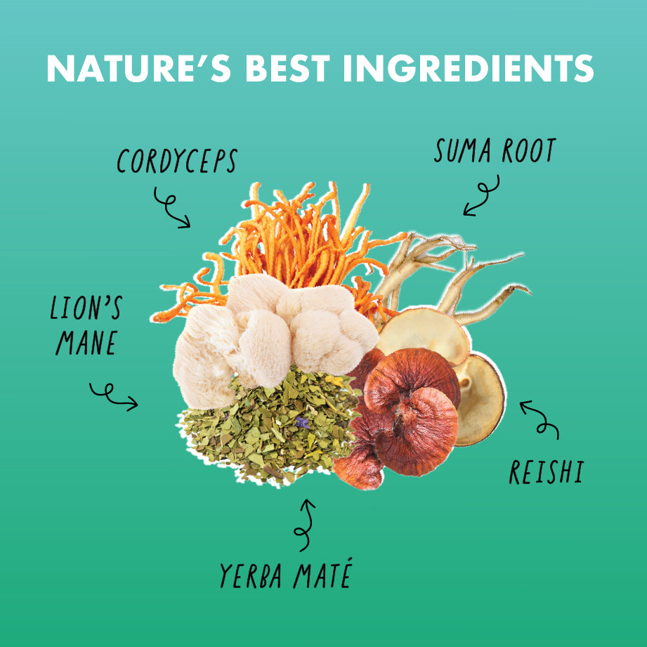 Grounded Single Serving