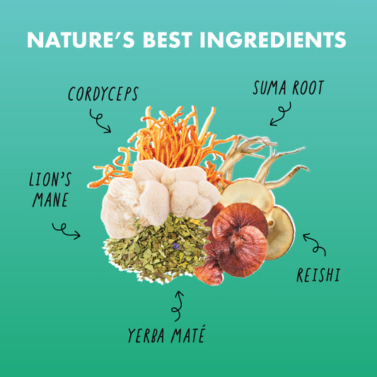 Grounded Single Serving