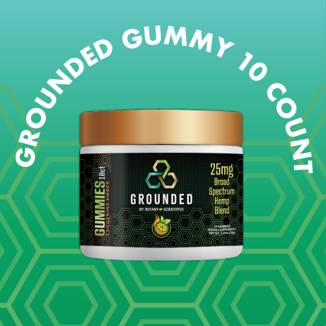 Grounded CBG/CBD/Lion's Mane & More 10 Count Supplement