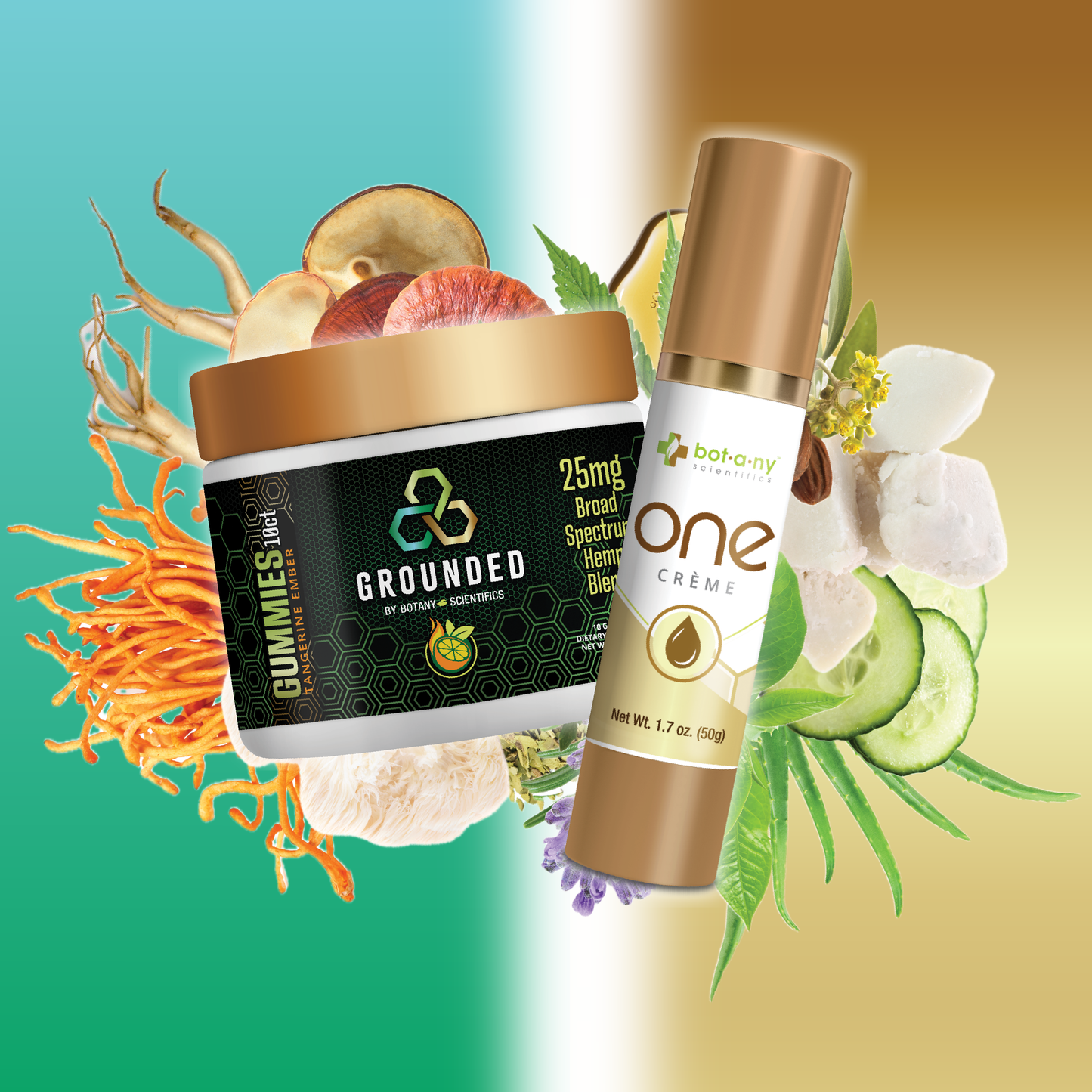 Gounded One Bundle