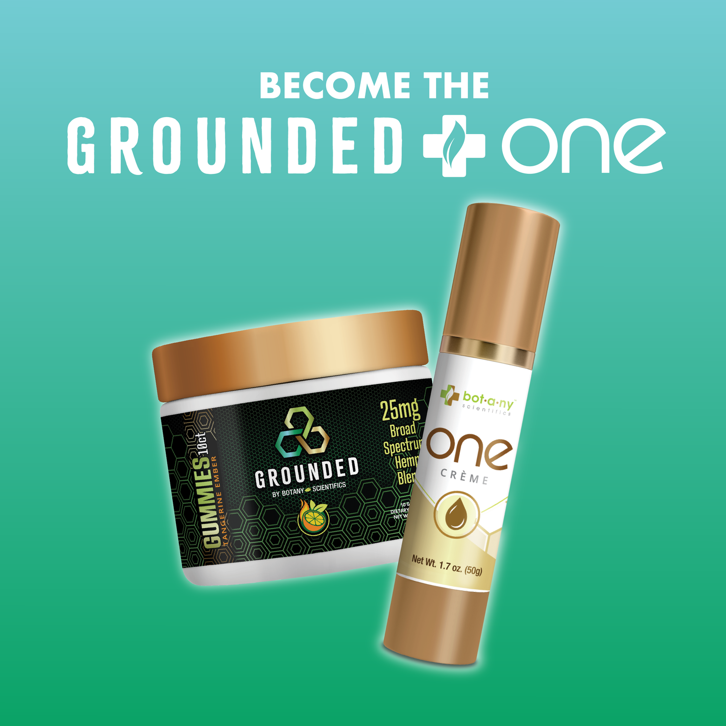 Gounded One Bundle