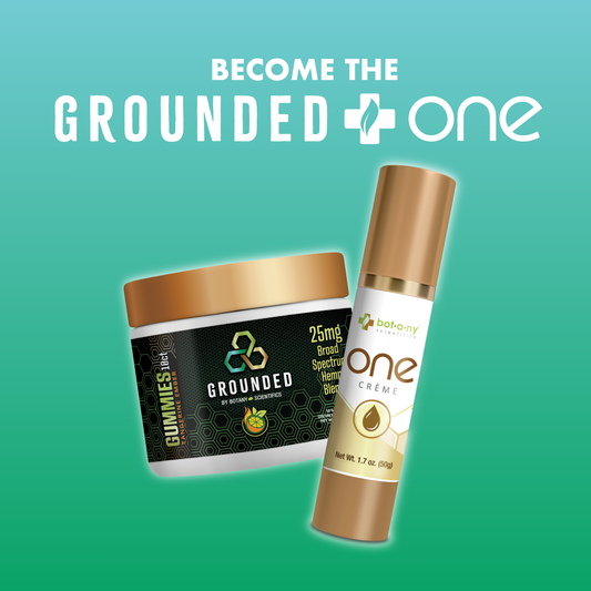 Gounded One Bundle