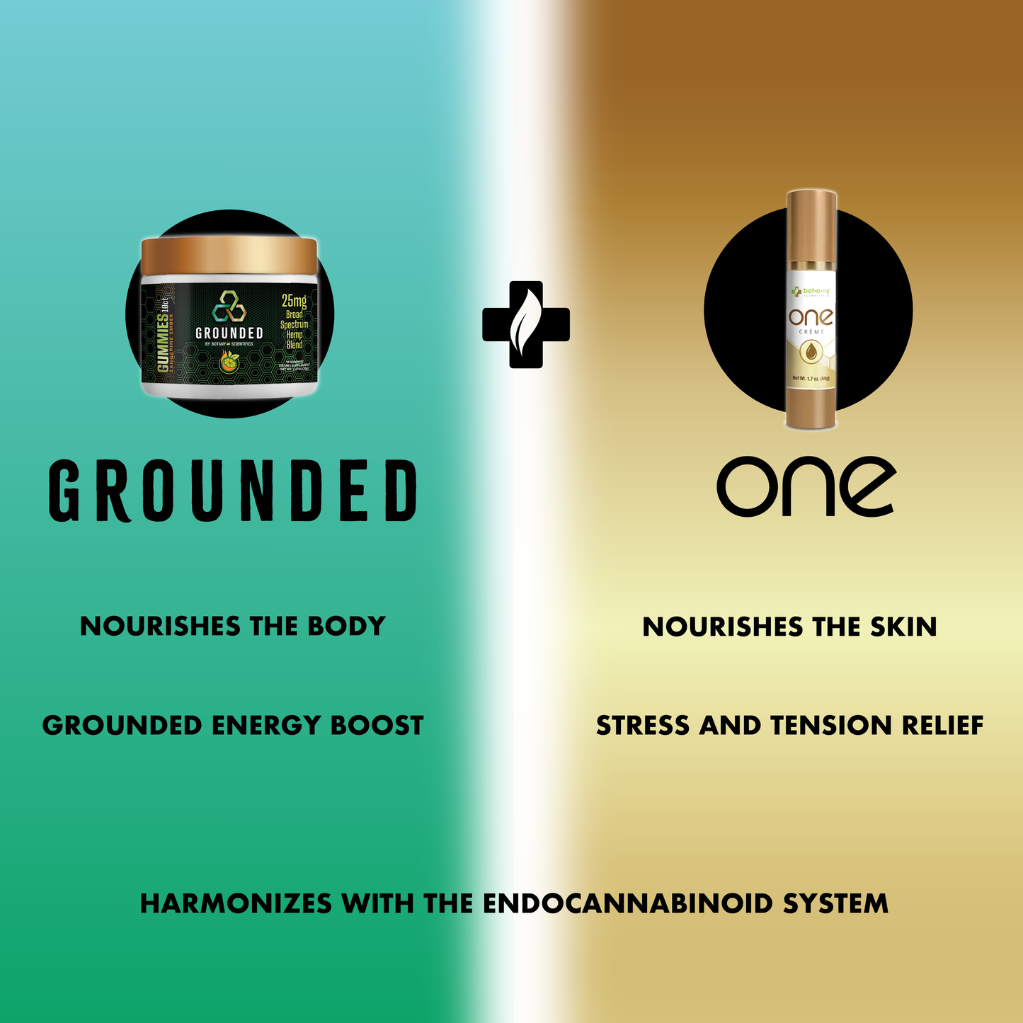 Gounded One Bundle