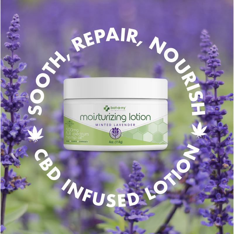 Lavender Lotion